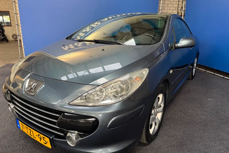 Peugeot 307 (2008)