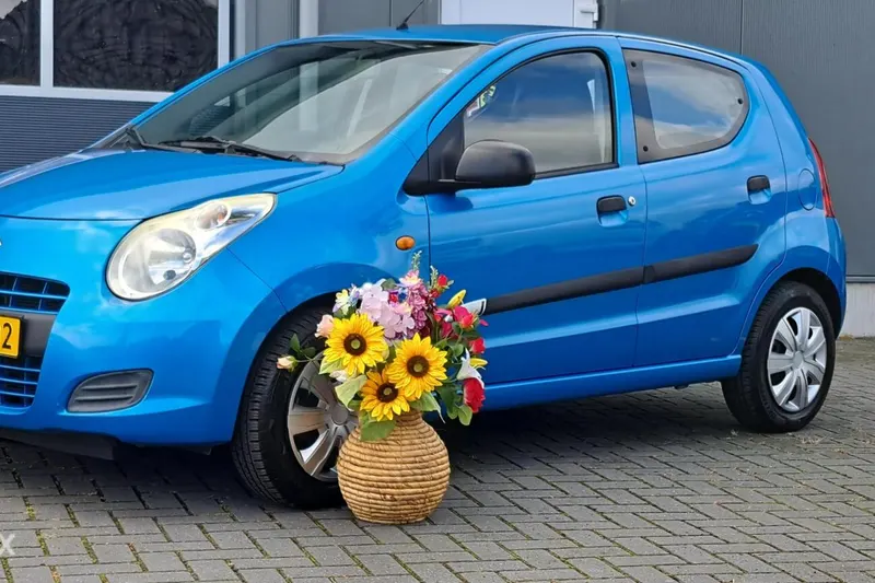 Suzuki Alto (2014)