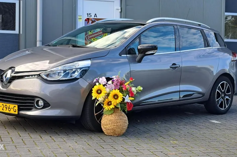 Renault Clio (2015)