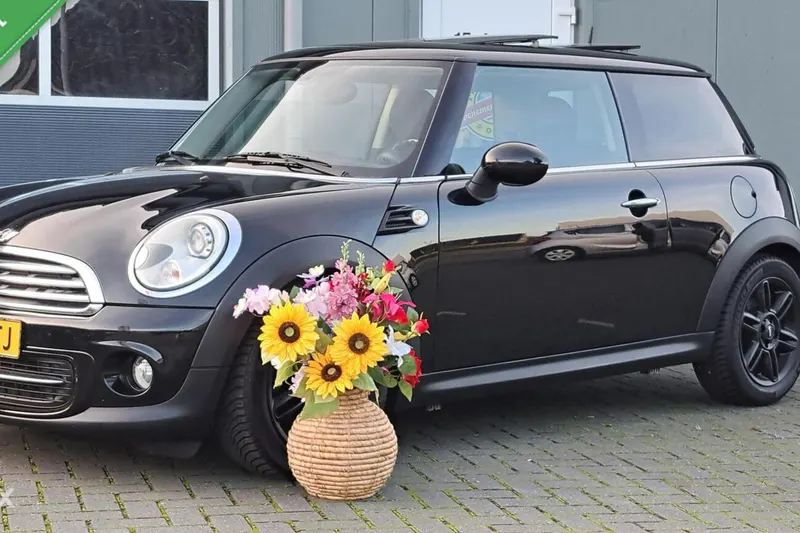 MINI Cooper (2011)