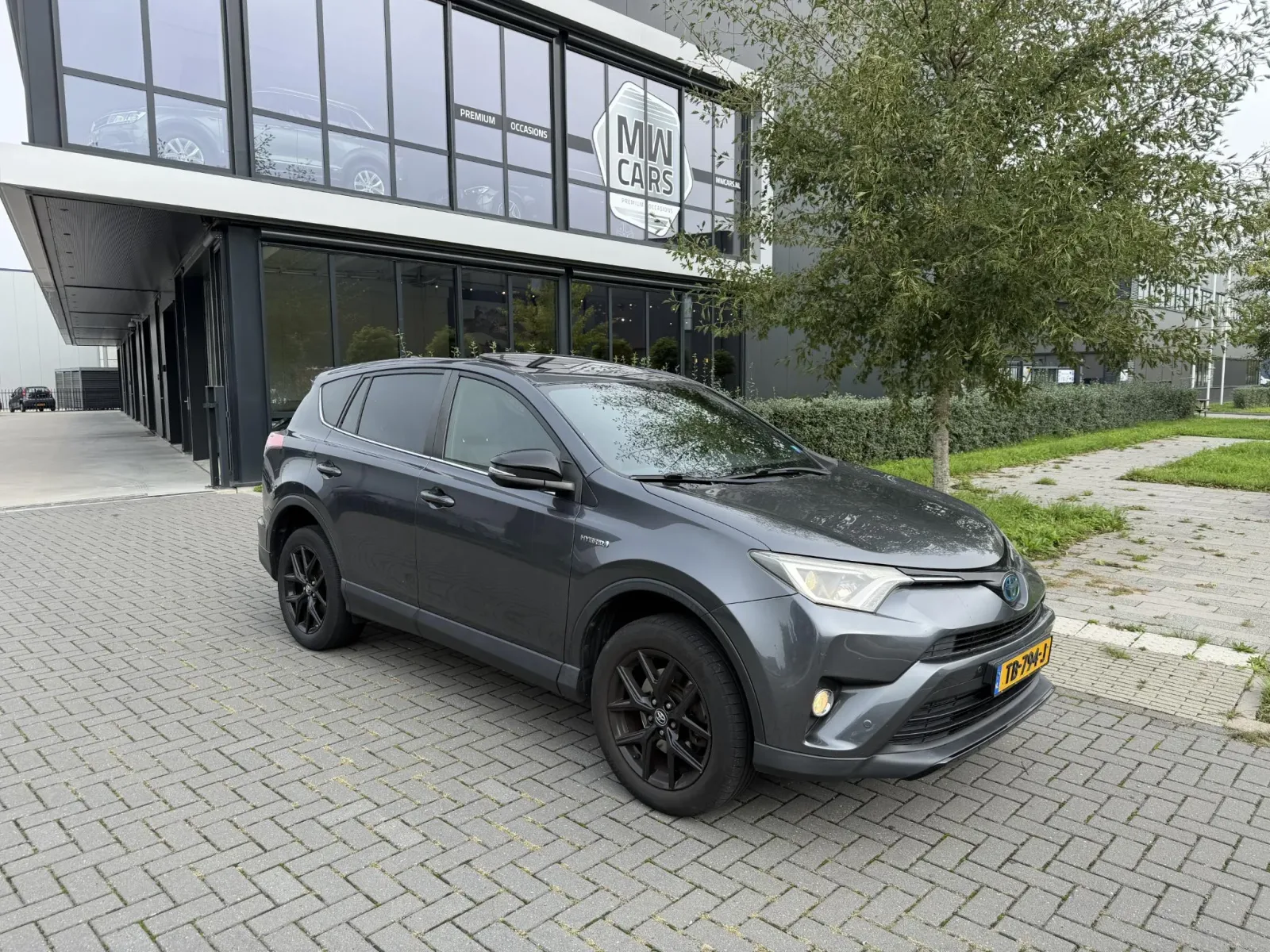 Toyota RAV4 (2018) — foto 1