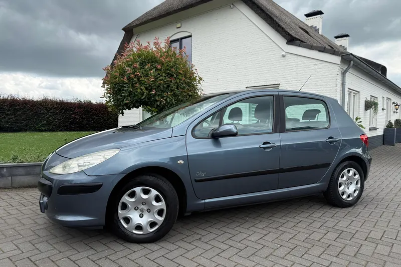 Peugeot 307 (2007)