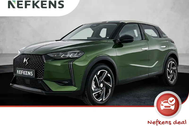 DS 3