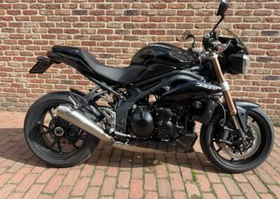 Triumph Speed Naked (2012) — foto 1