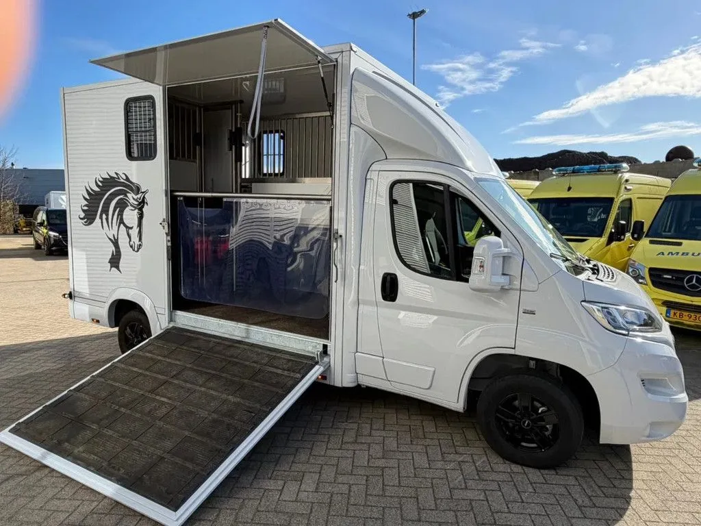 Opel Movano Paardenwagen/Veewagen Hengsten Uitvoering Airco Cruisecontrol NIEUW (2023) — foto 1