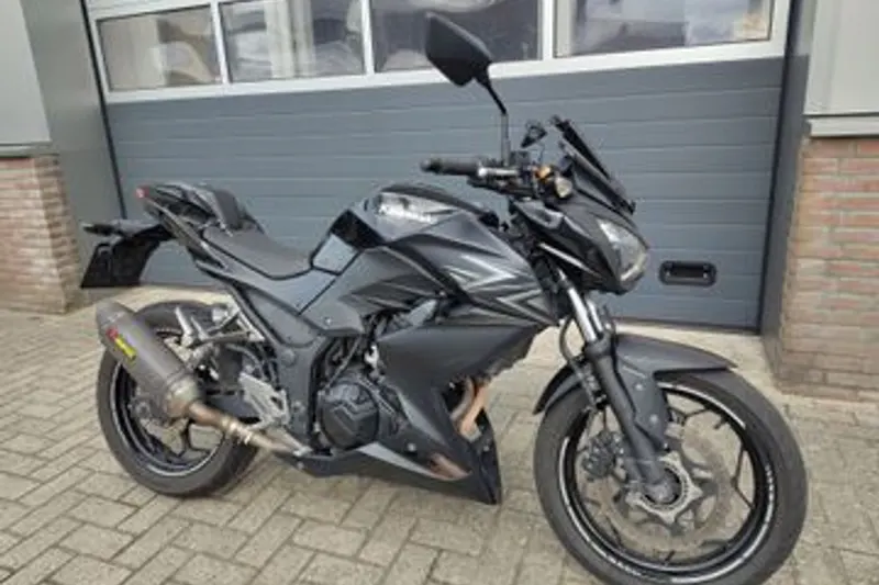 Kawasaki Z300 (2017)
