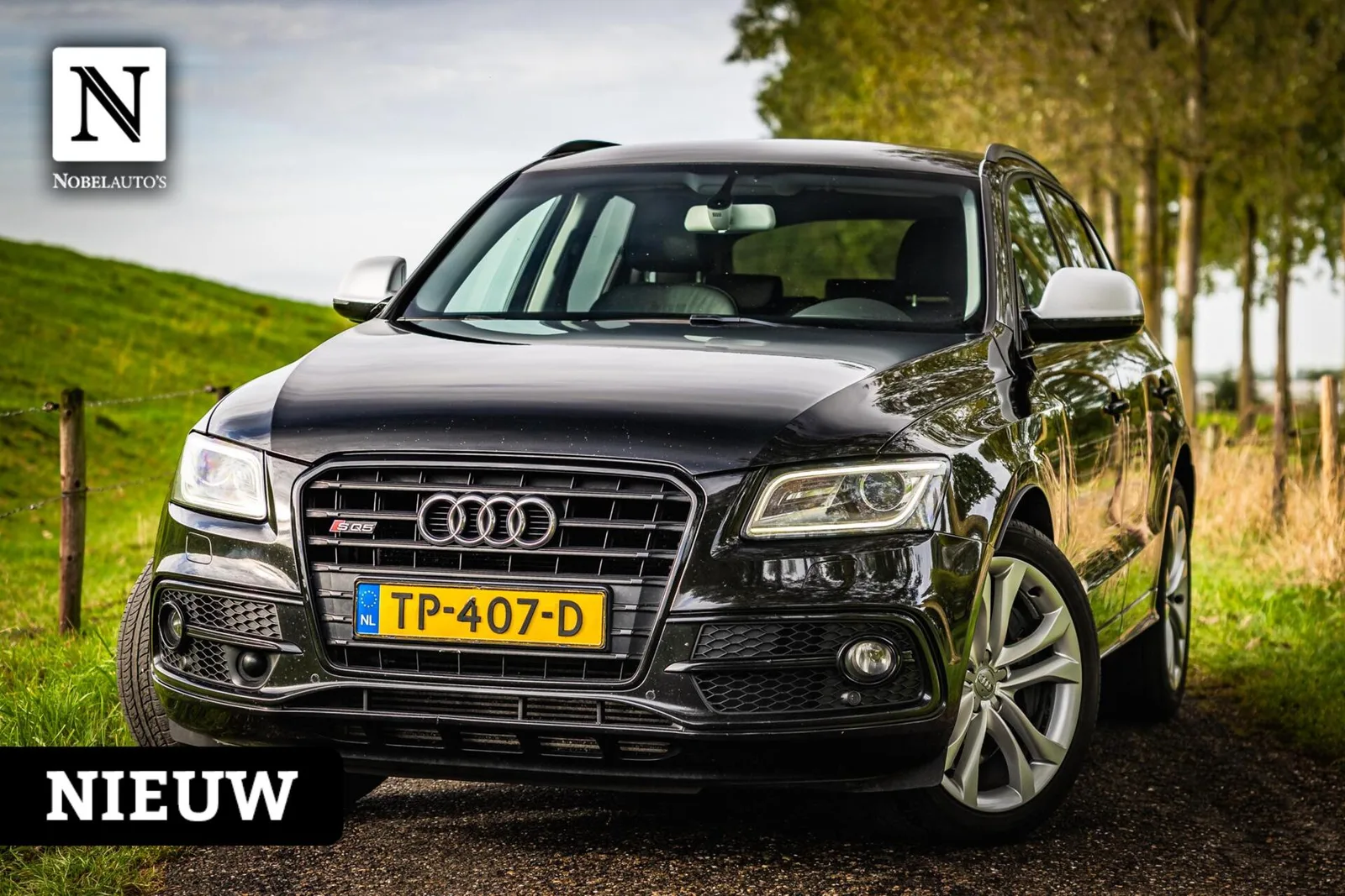 Audi SQ5 (2015) — foto 1