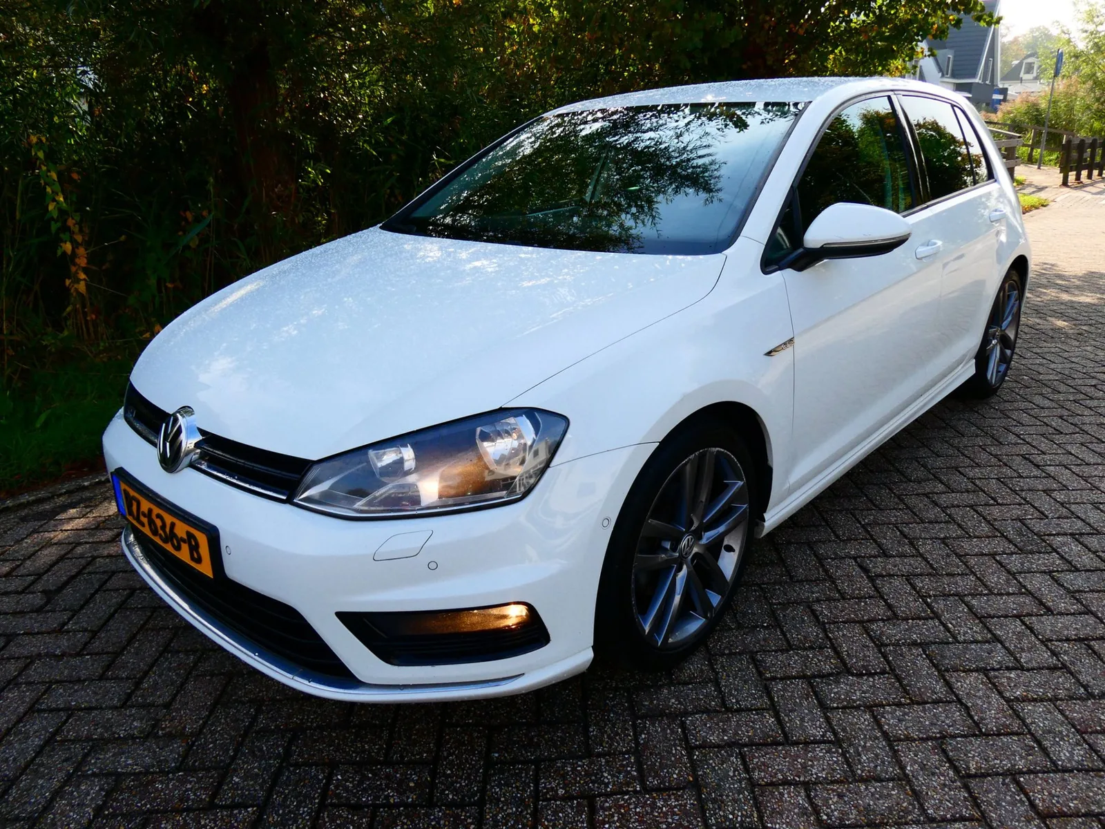 Volkswagen Golf (2014) — foto 1