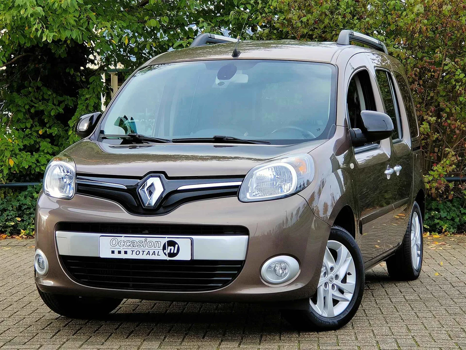 Renault Kangoo (2014) — foto 1