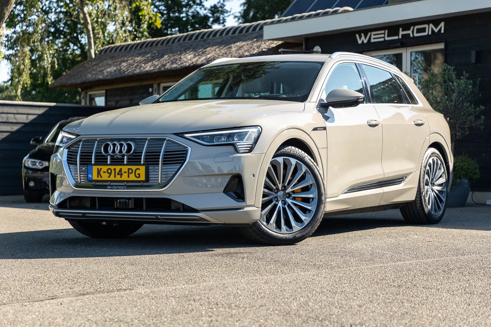 Audi e-tron (2019) — foto 1