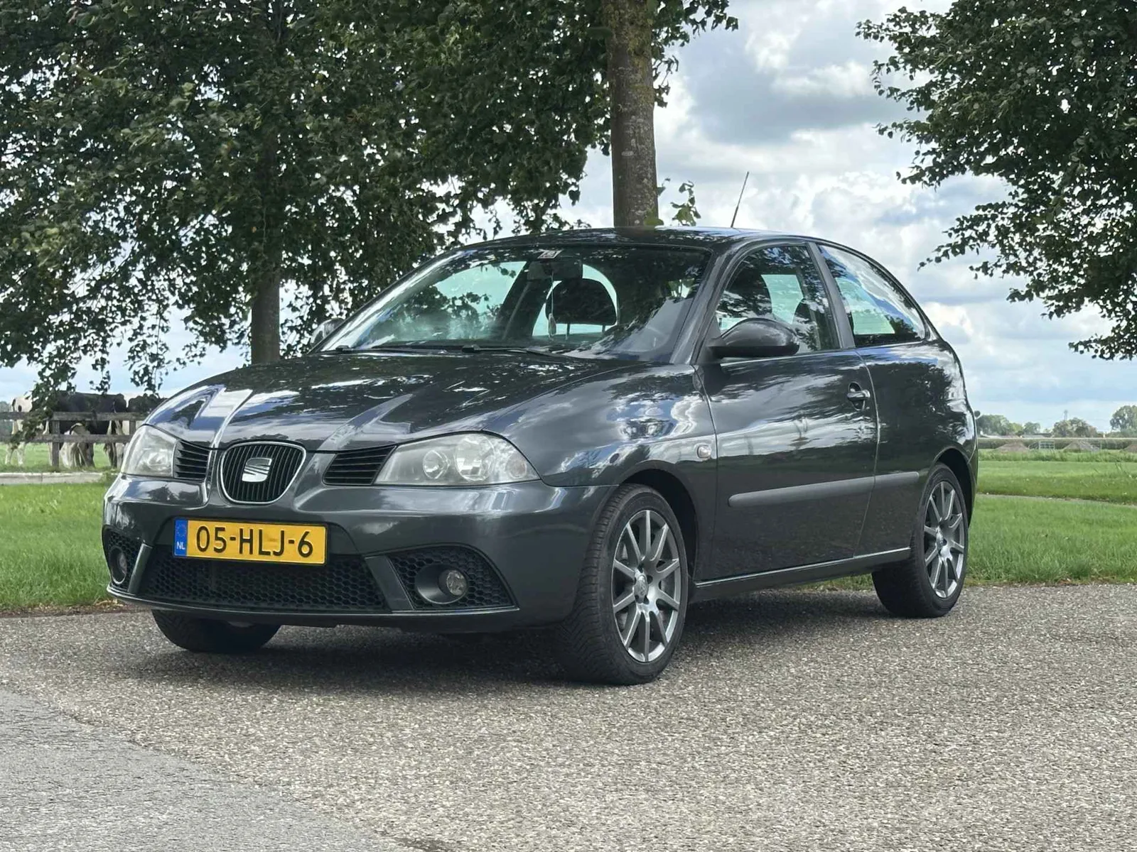 SEAT Ibiza (2009) — foto 1