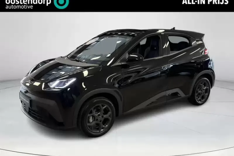 BYD Dolphin Surf (2026)