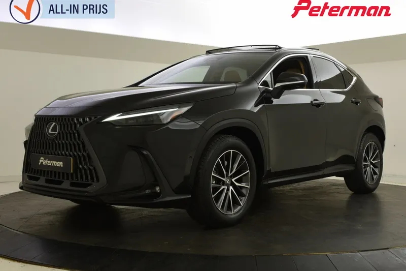 Lexus NX (2022)