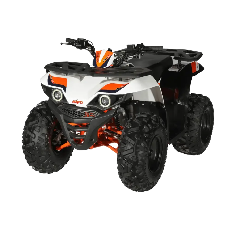 Kayo Moto AU110 (2025) — foto 1