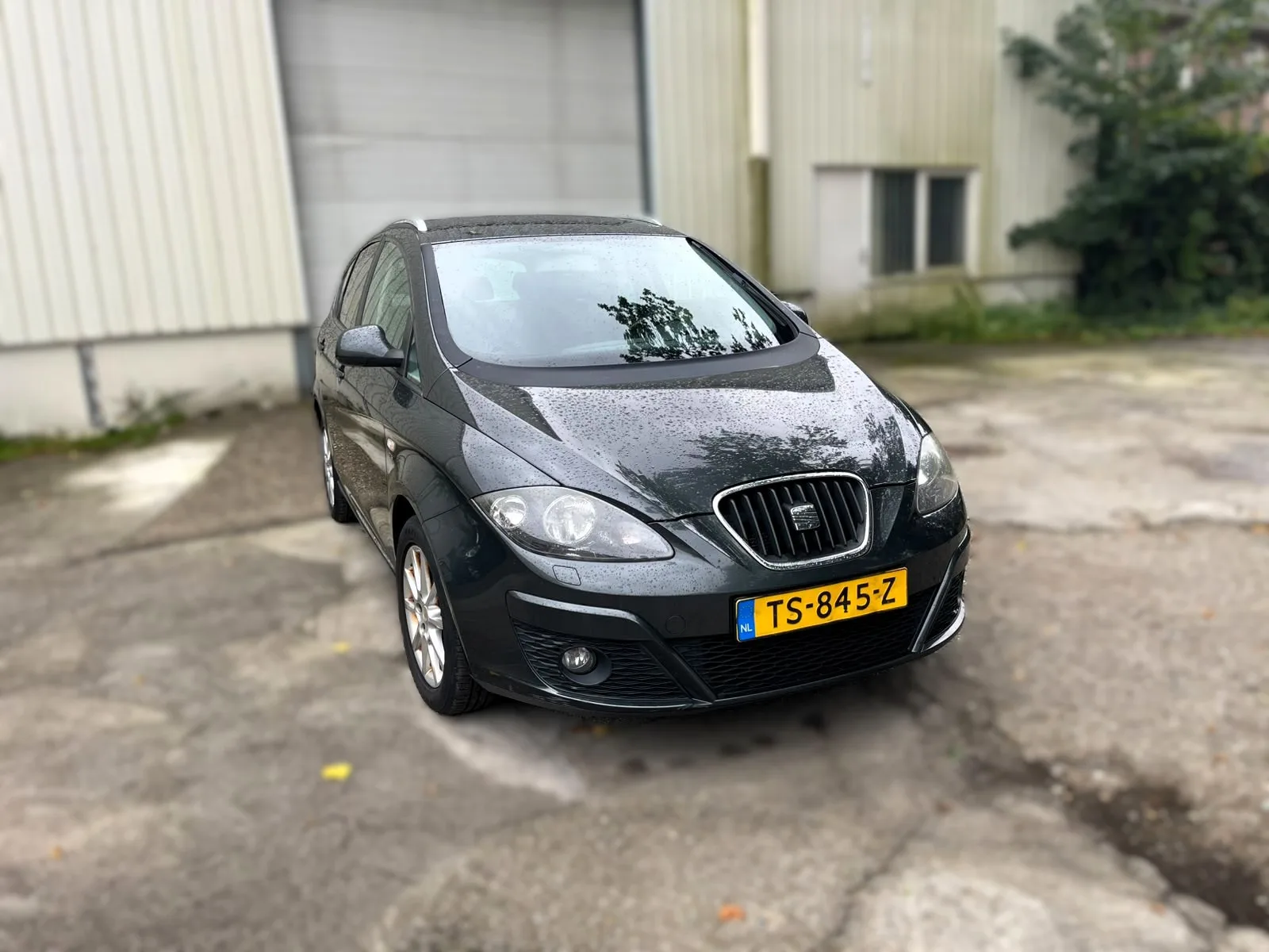 SEAT Altea XL (2010) — foto 1