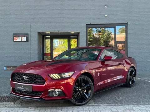 Ford Mustang (2014) — foto 1