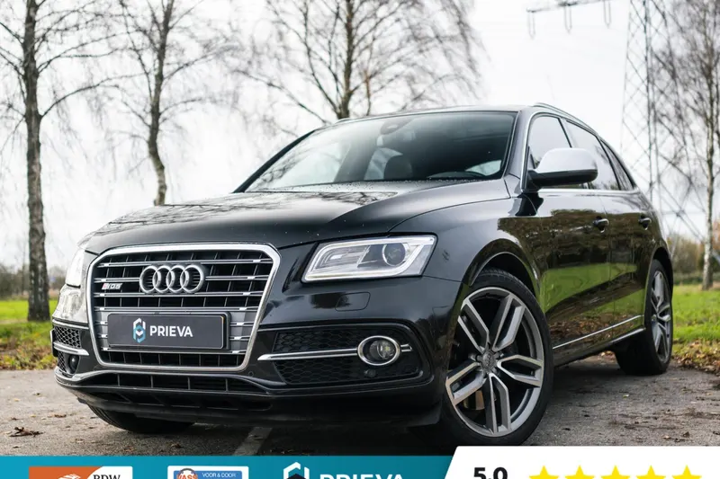 Audi SQ5 (2013)
