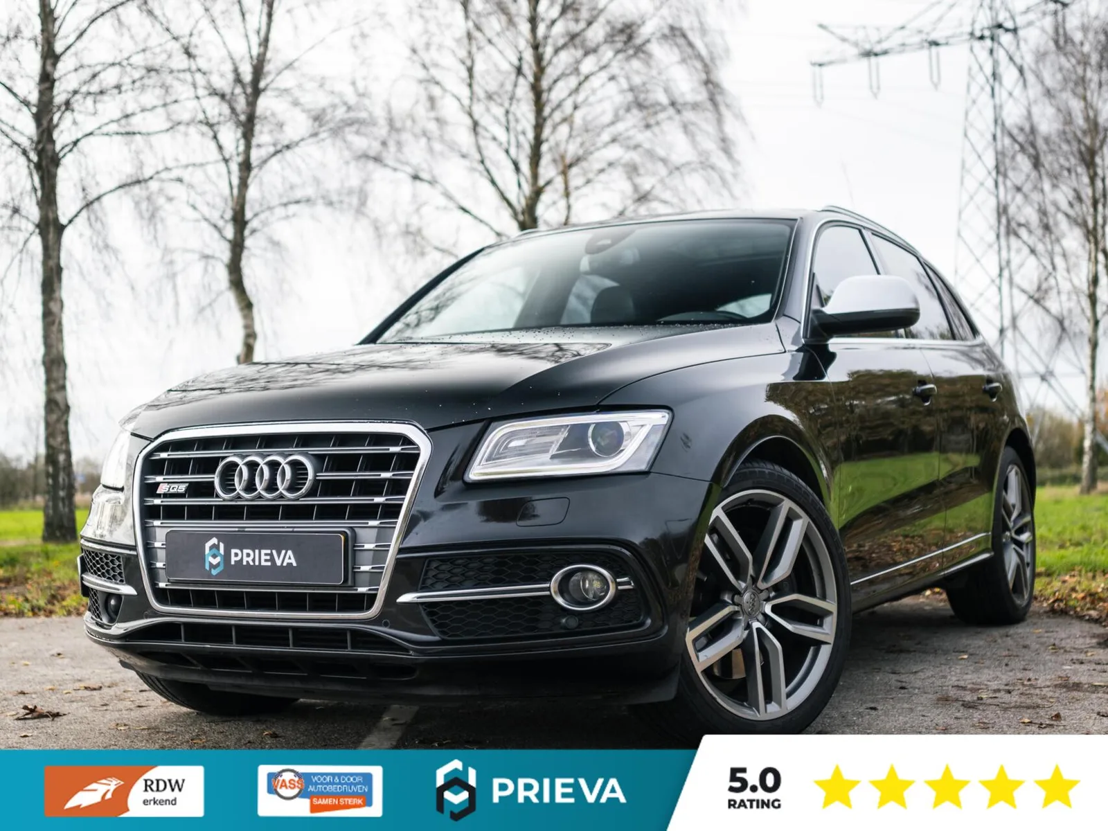 Audi SQ5 (2013) — foto 1