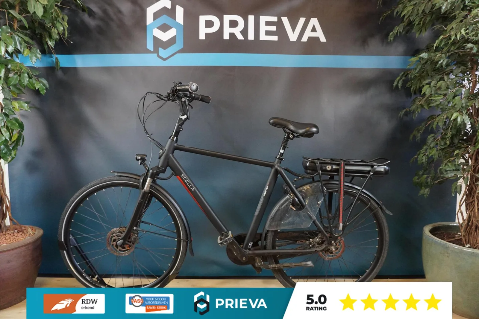 Sparta Vicenza (2019) — foto 1