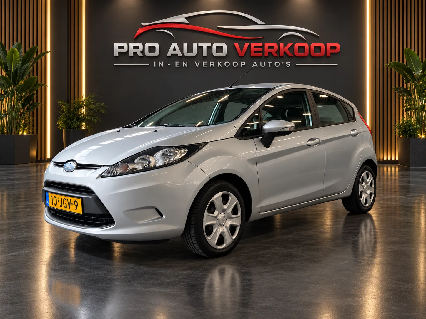 Ford Fiesta (2009) — foto 1