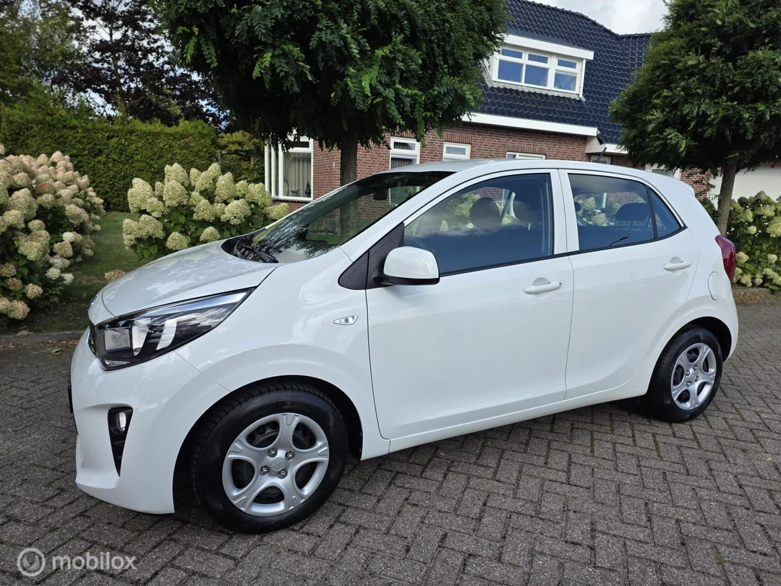 Kia Picanto (2021) — foto 1