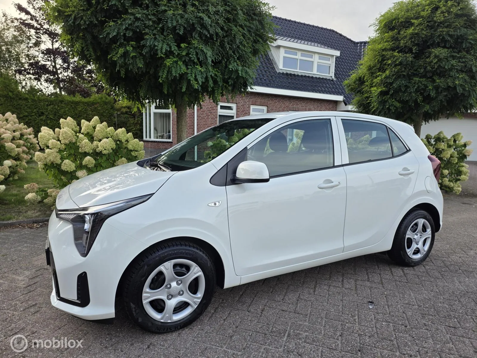 Kia Picanto (2024) — foto 1