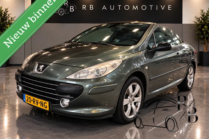 Peugeot 307 (2005)