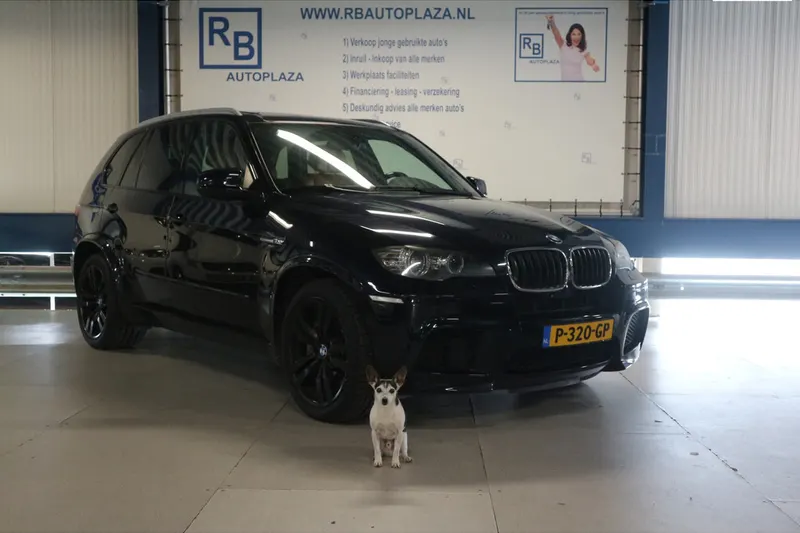 BMW X5 (2010)