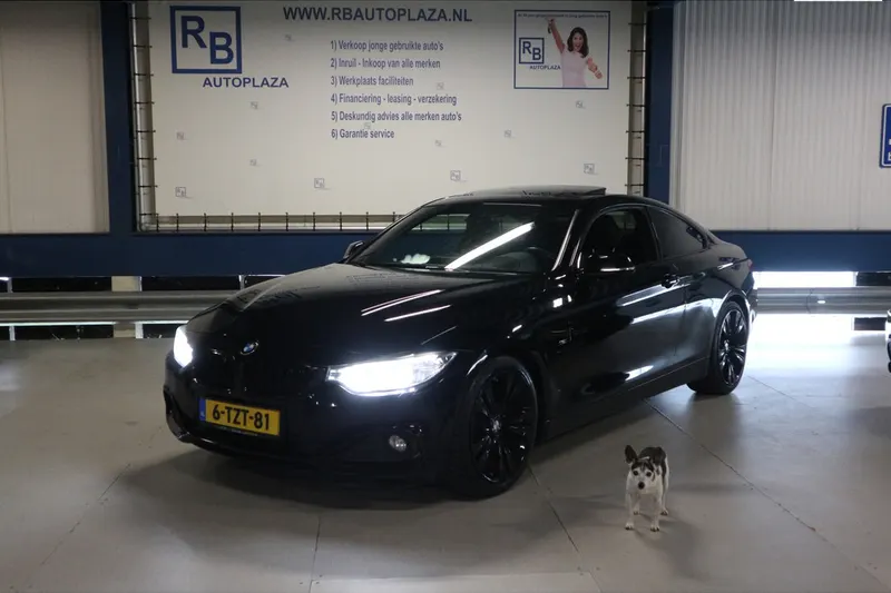 BMW 4-Serie (2014)