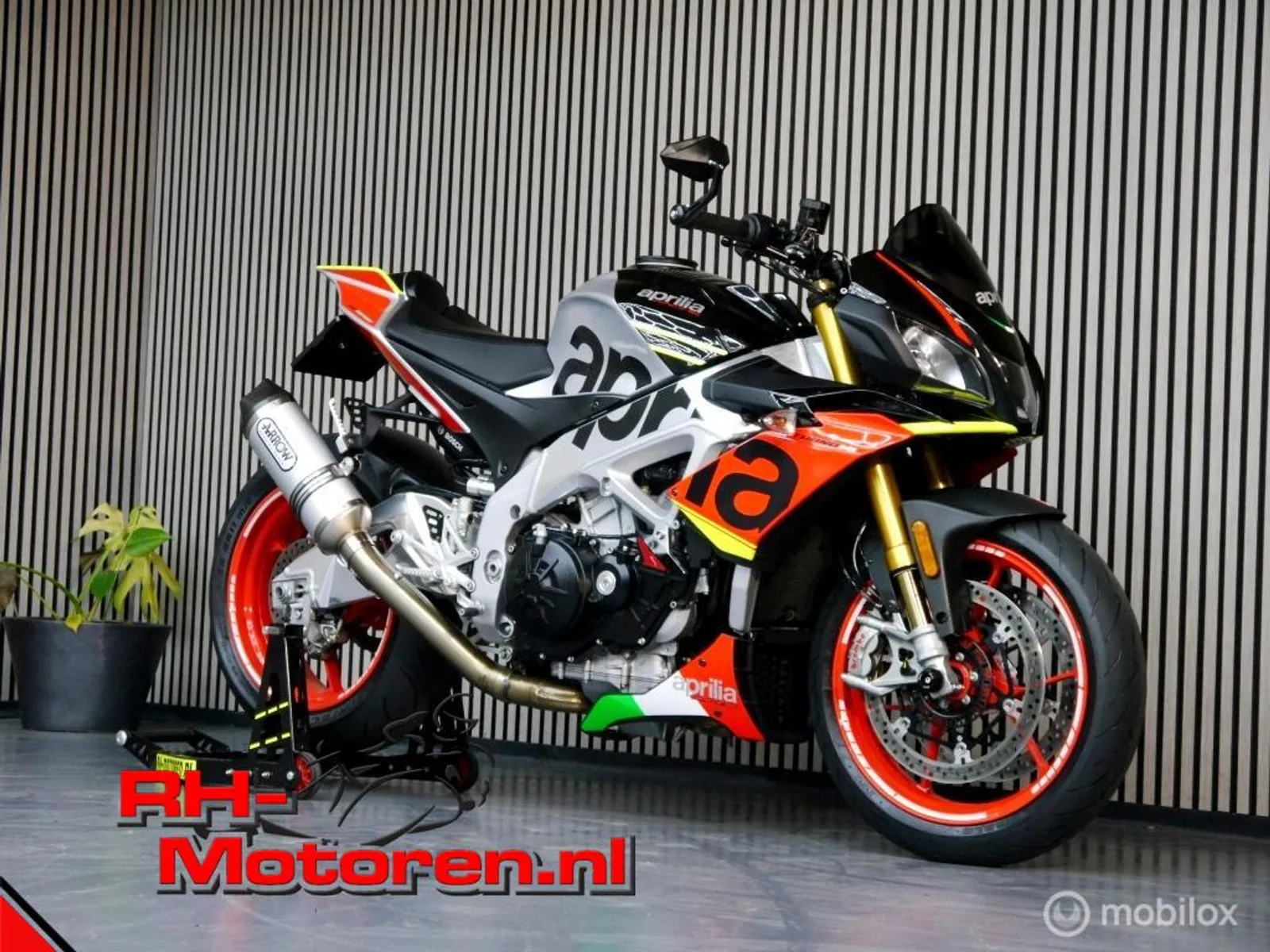 Aprilia Tuono V4 1100 (2019) — foto 1