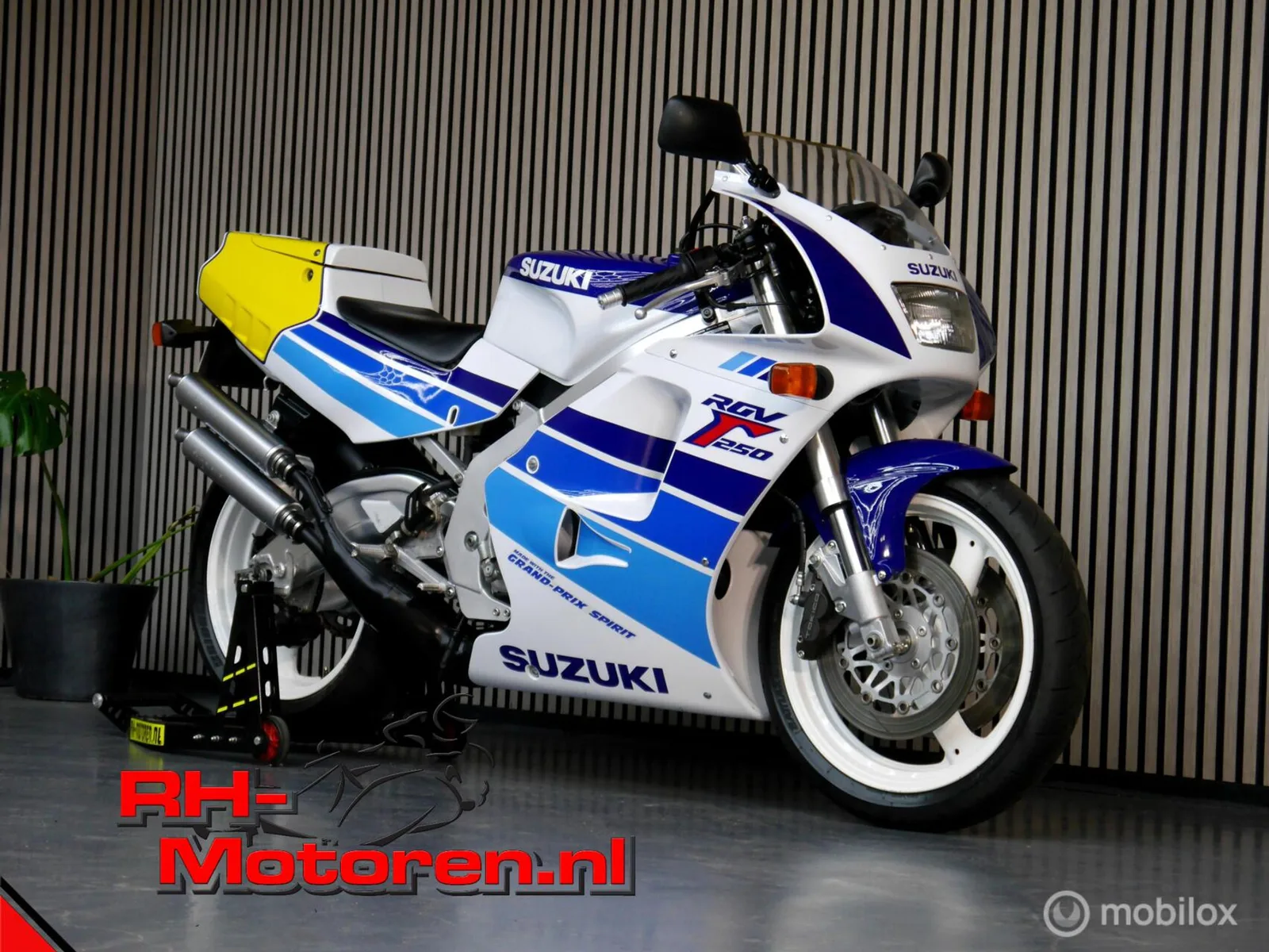Suzuki RGV 250 (1992) — foto 1