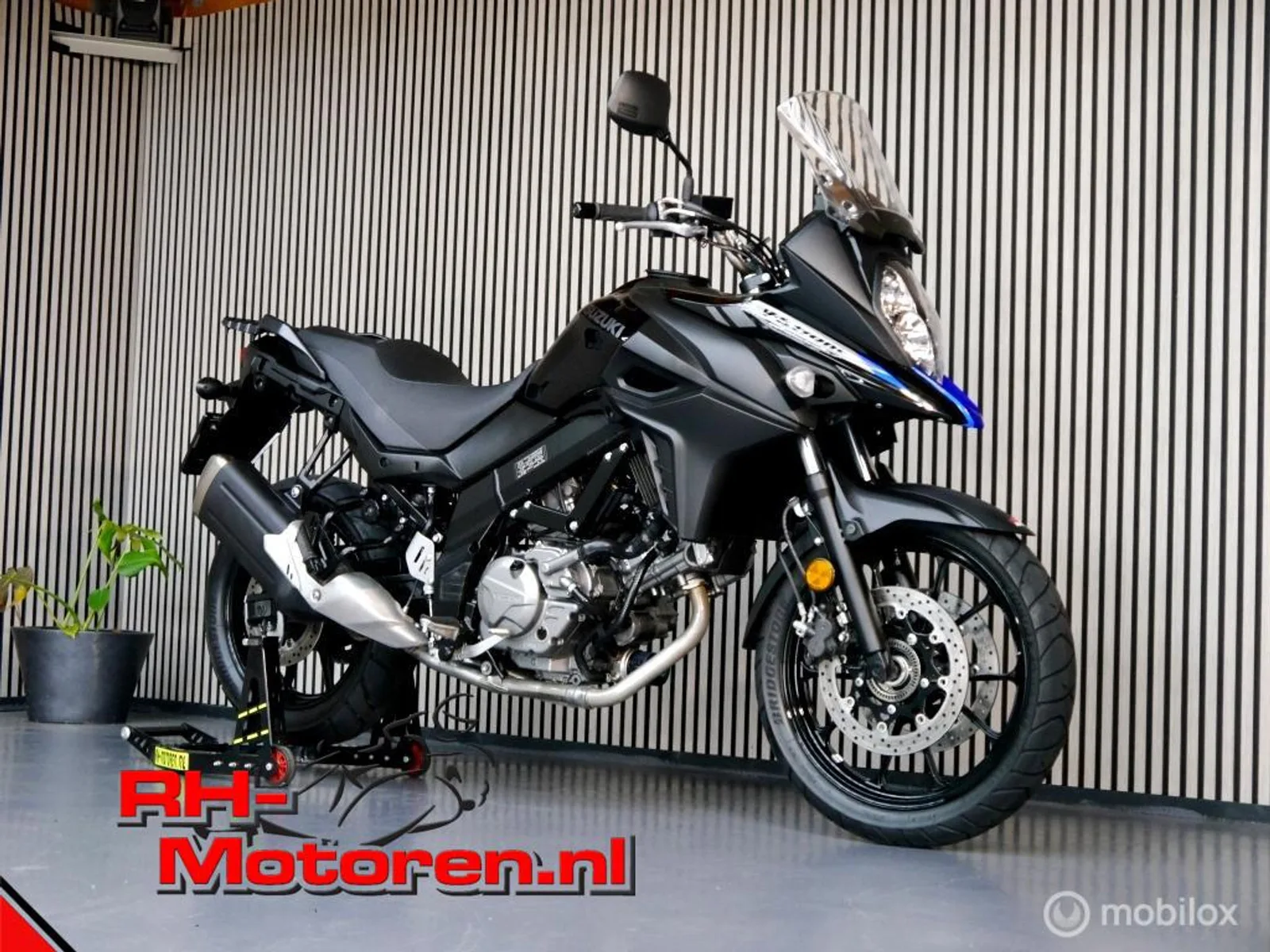 Suzuki DL 650 V Strom (2025) — foto 1