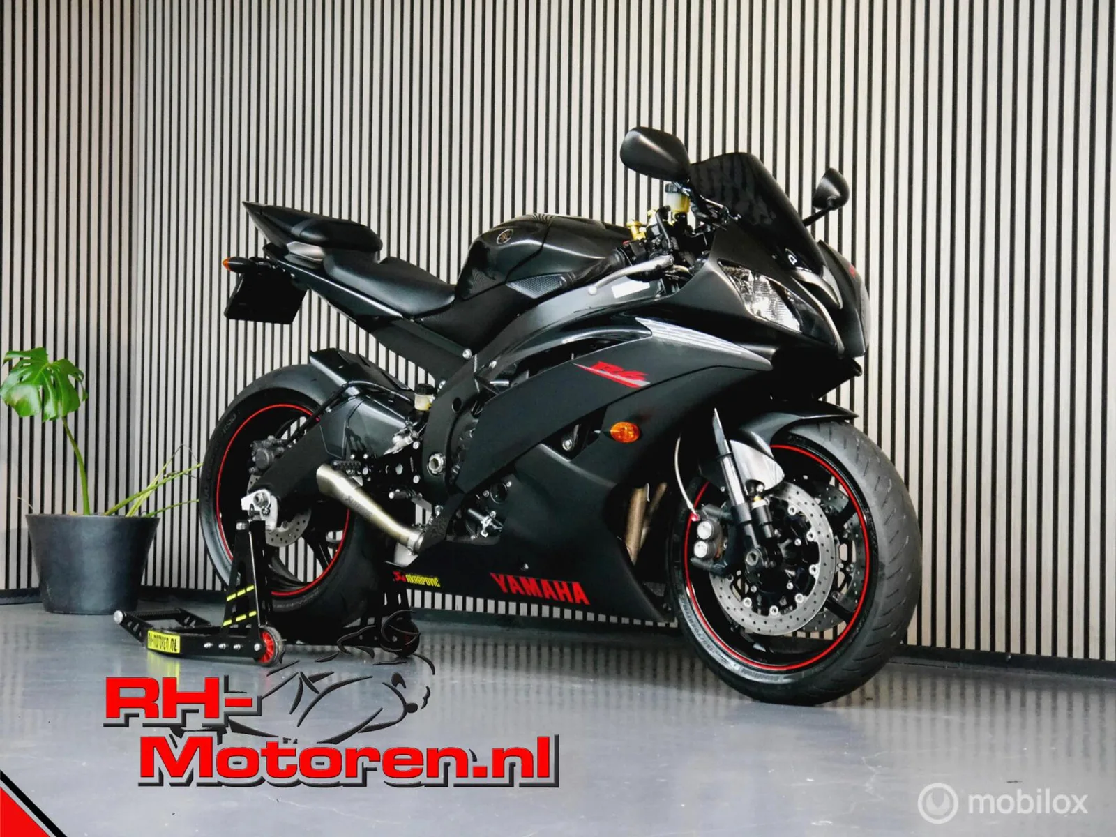 Yamaha YZF-R6 (2008) — foto 1