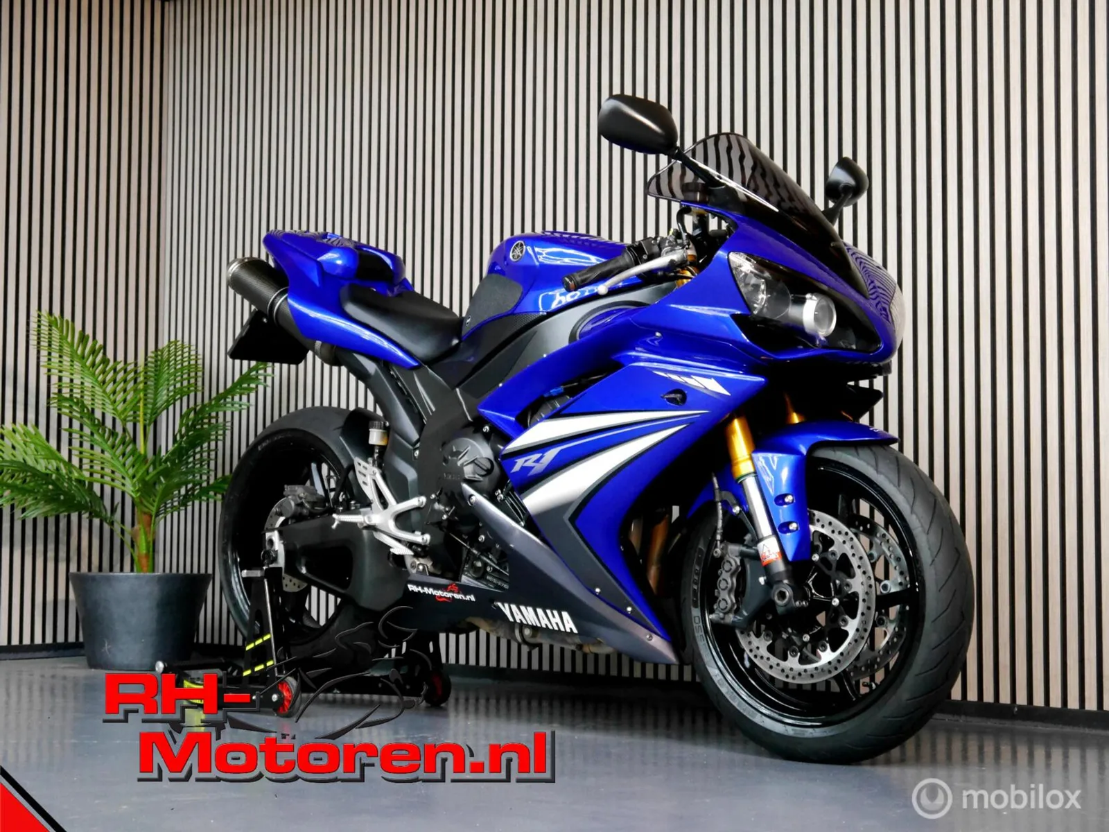 Yamaha YZF-R1 (2007) — foto 1