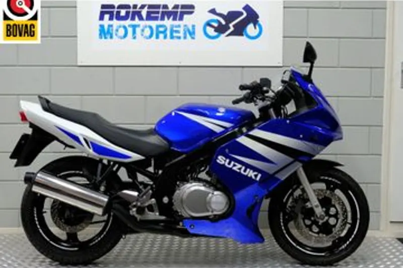 Suzuki GS 500F (2004)