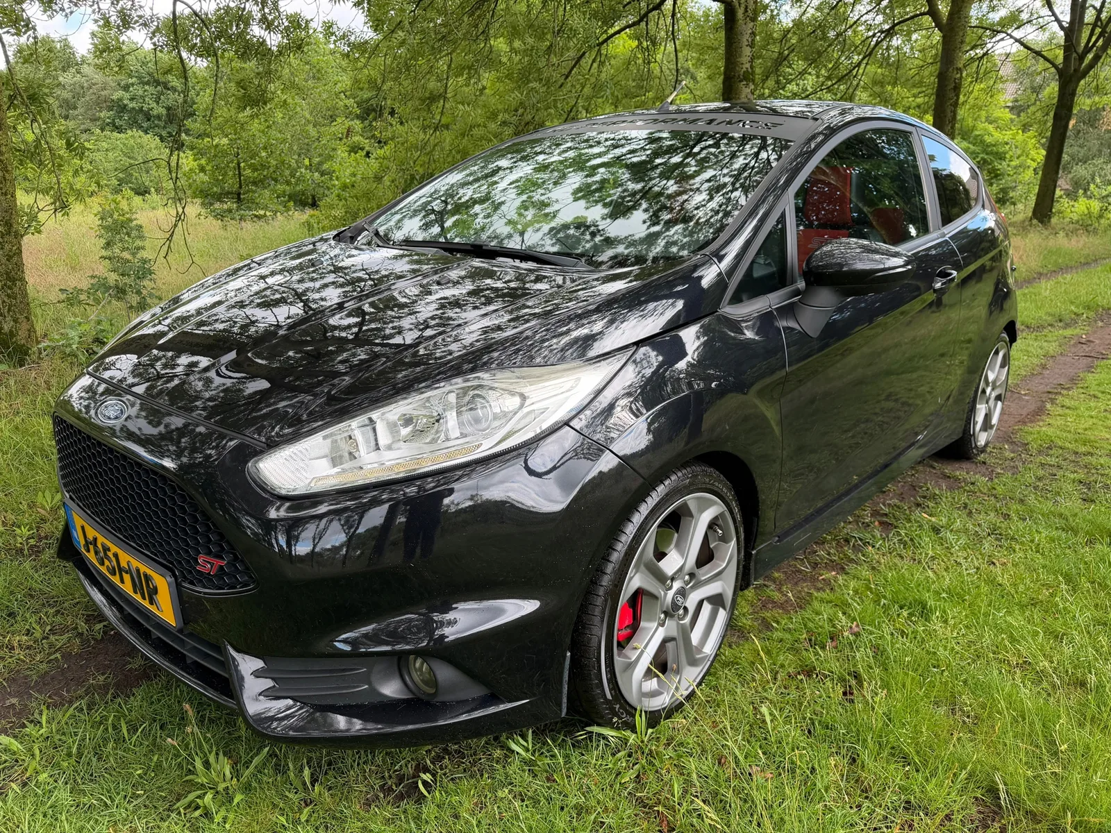 Ford Fiesta (2014) — foto 1