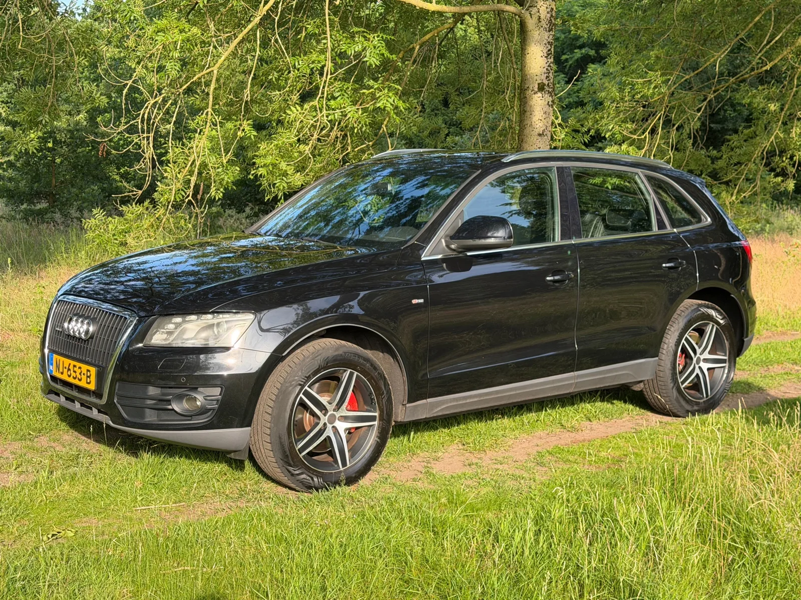 Audi Q5 (2010) — foto 1