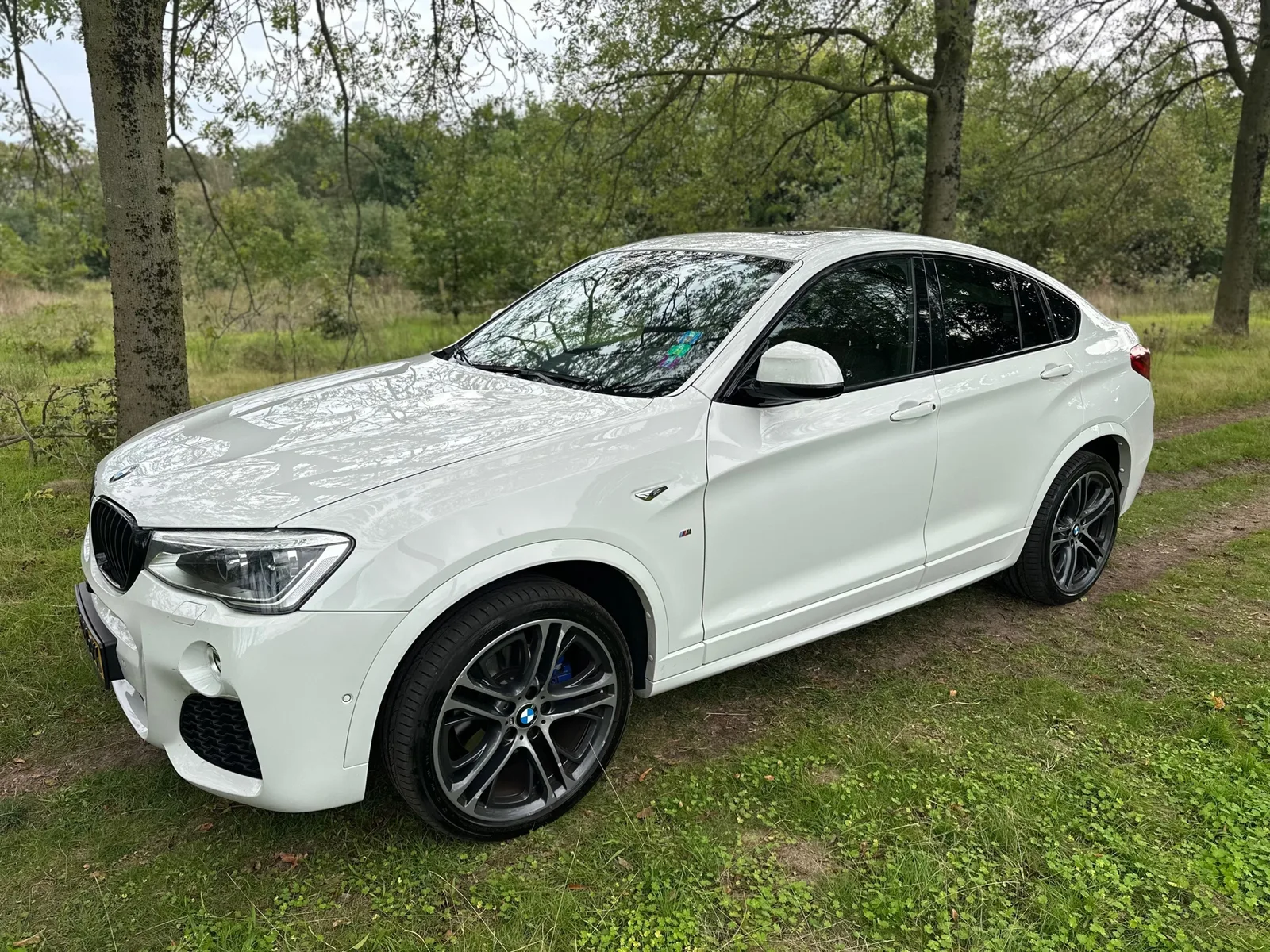 BMW X4 (2017) — foto 1