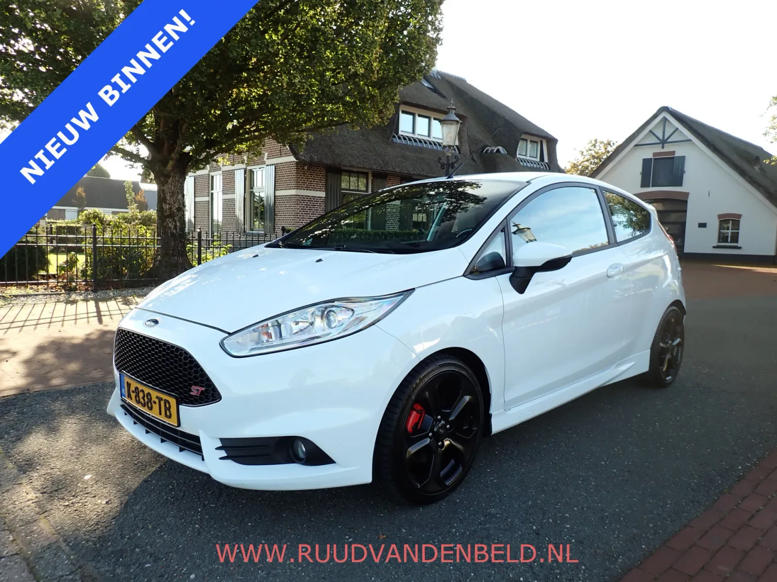 Ford Fiesta (2013) — foto 1
