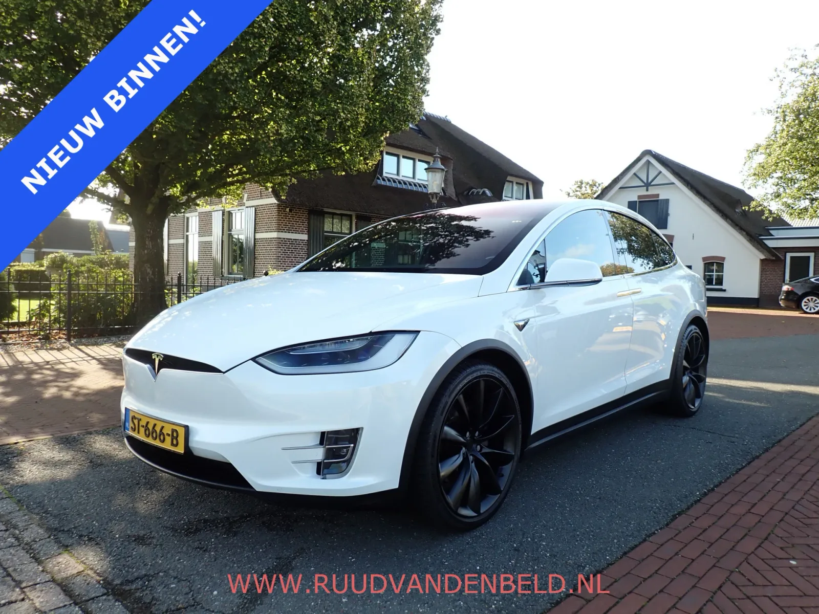 Tesla Model X (2018) — foto 1
