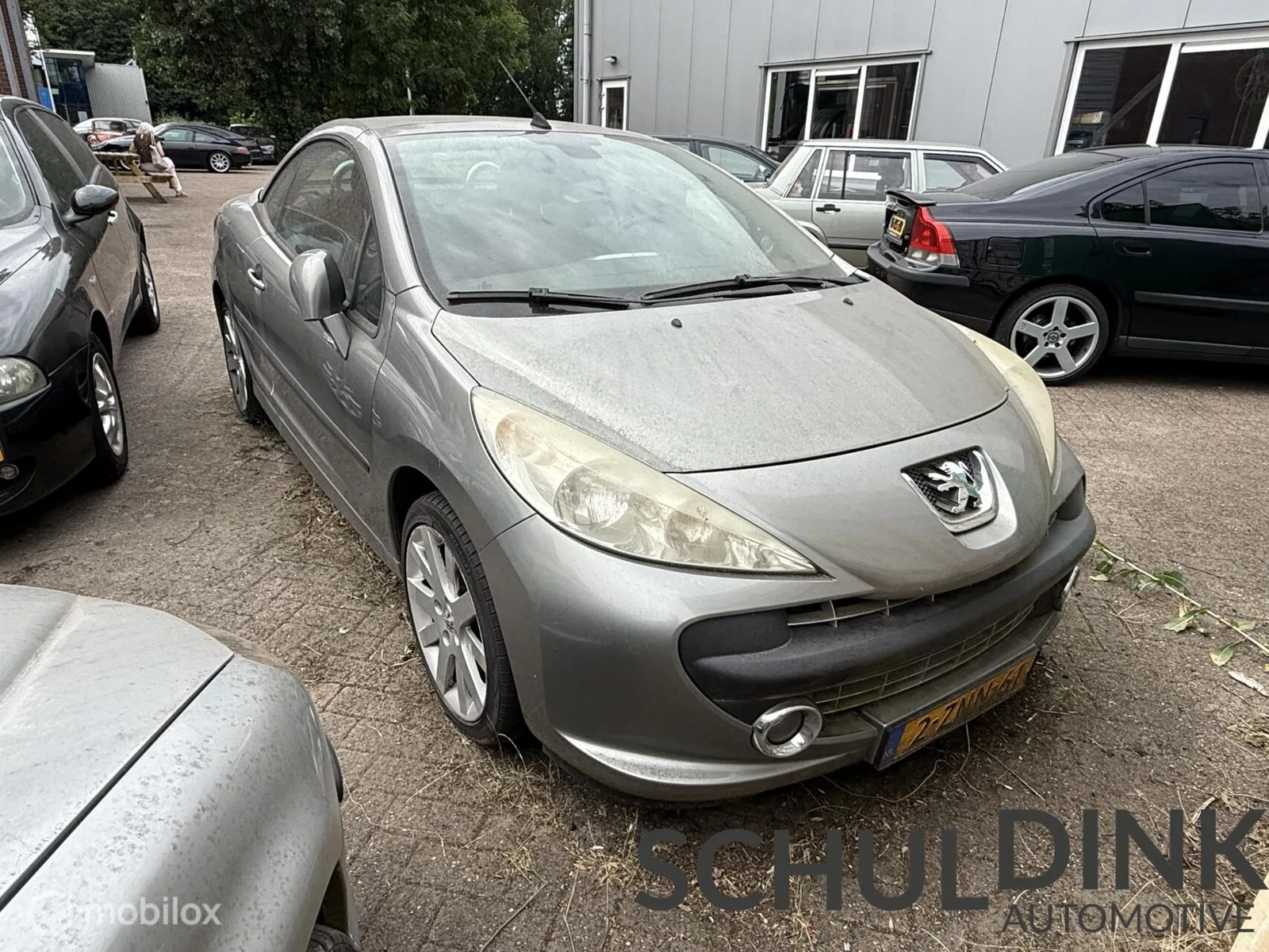 Peugeot 207 (2008) — foto 1