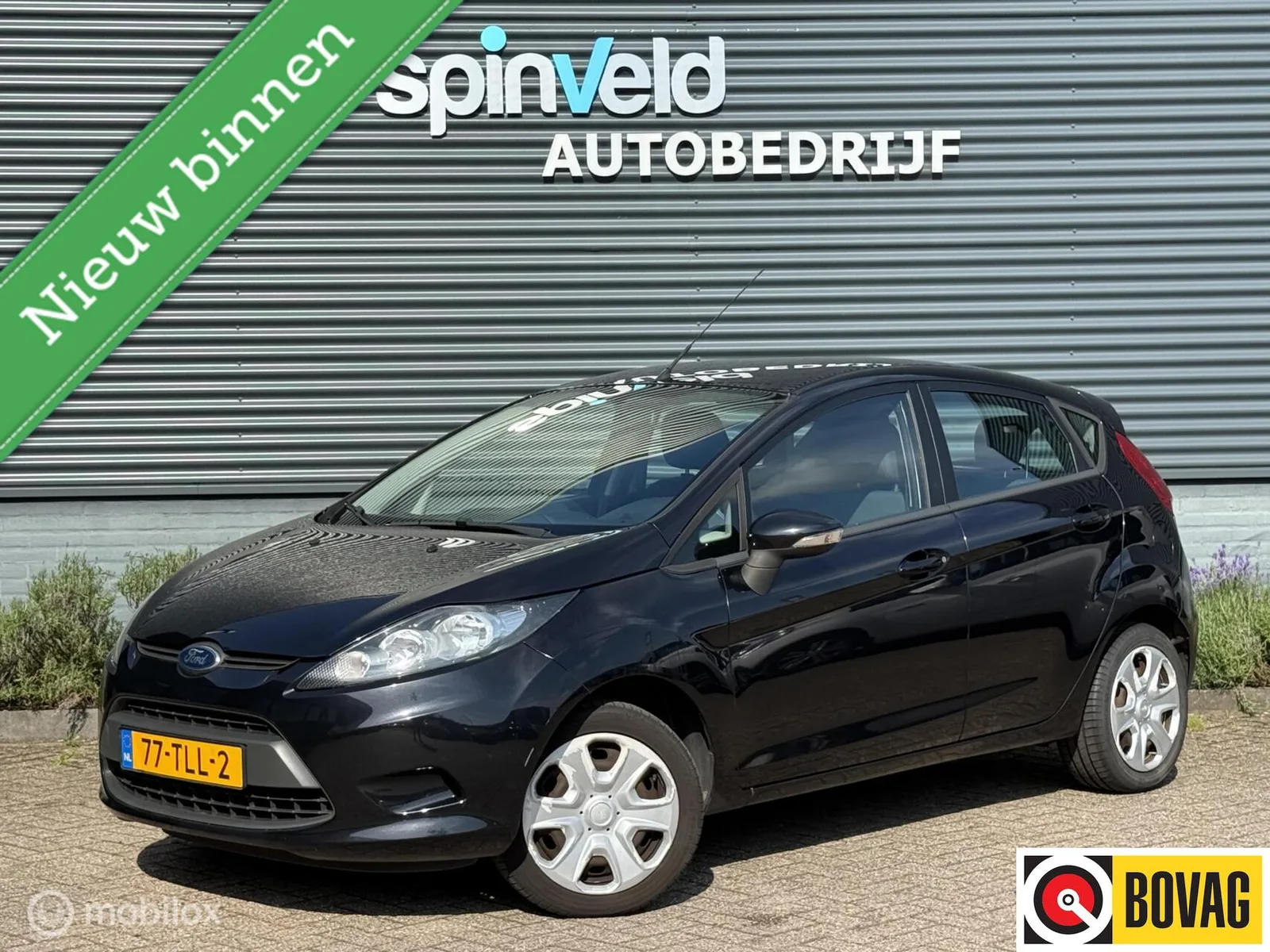 Ford Fiesta (2012) — foto 1