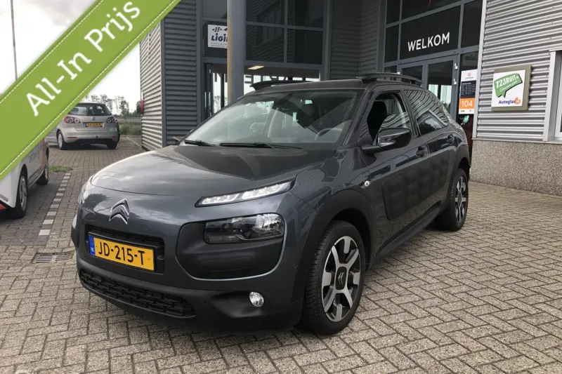Citroën C4 Cactus (2015)