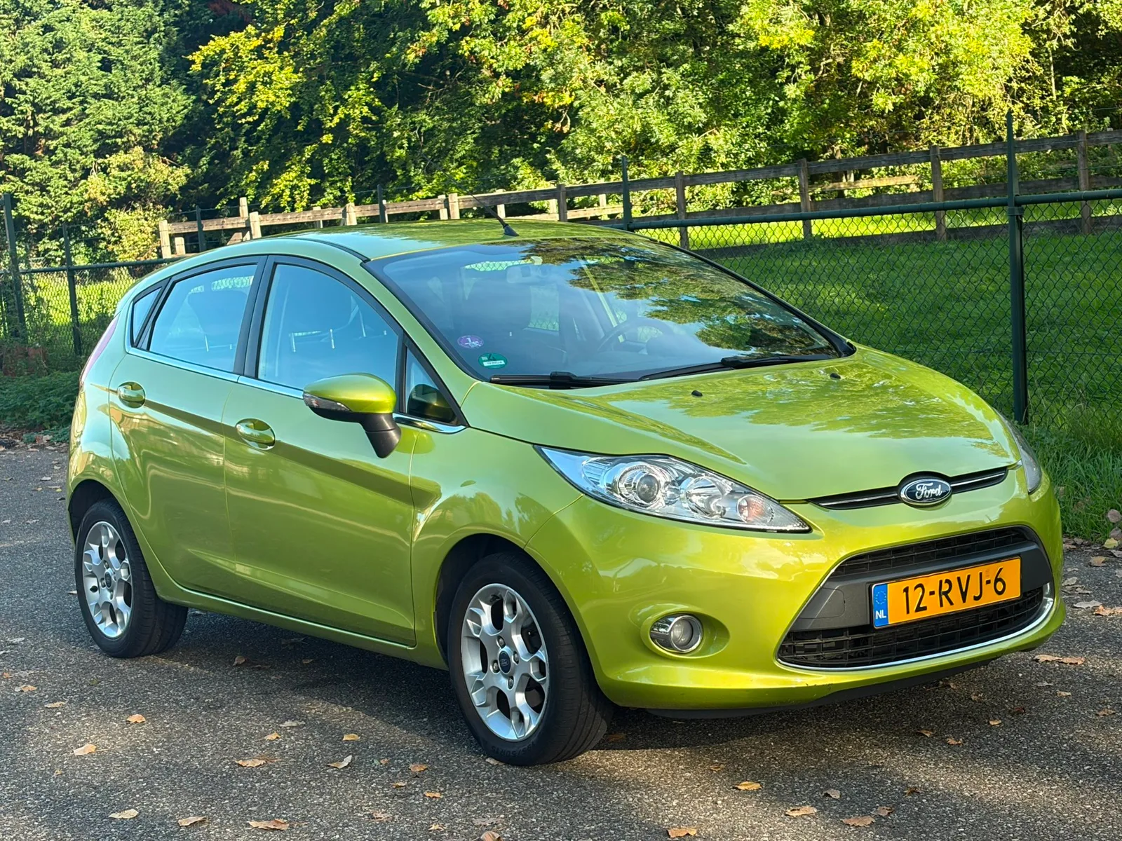 Ford Fiesta (2011) — foto 1