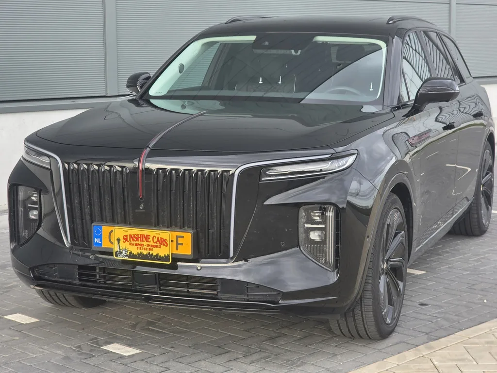 Hongqi E-HS9 (2024) — foto 1