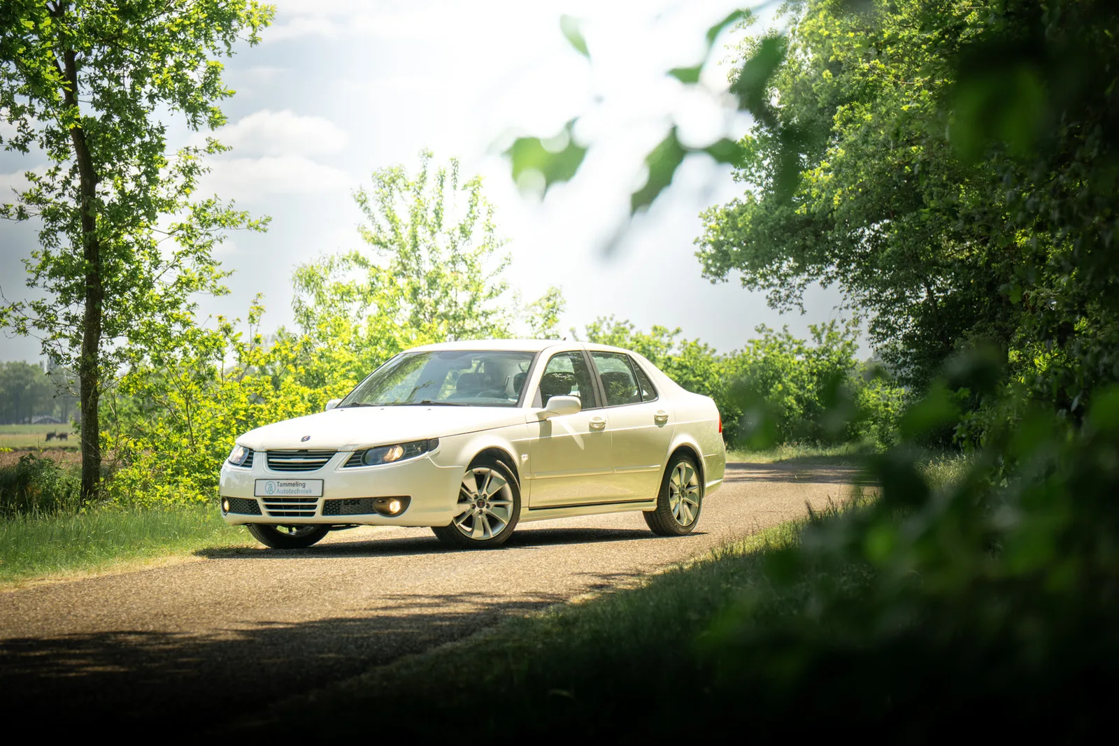 Saab 9-5 (2006) — foto 1