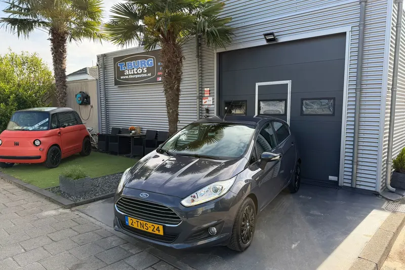 Ford Fiesta (2014)
