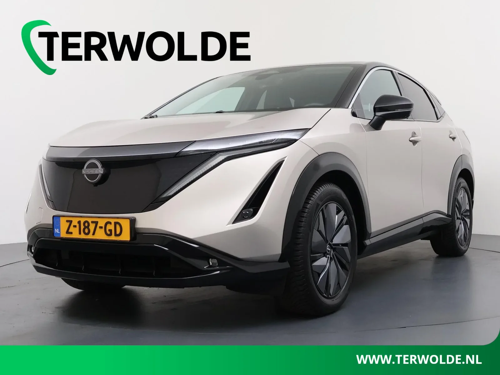 Nissan Ariya (2024) — foto 1