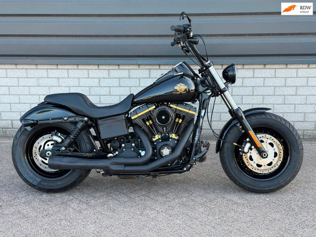 Harley-Davidson Fxdf Dyna FAT BOB (2010) — foto 1