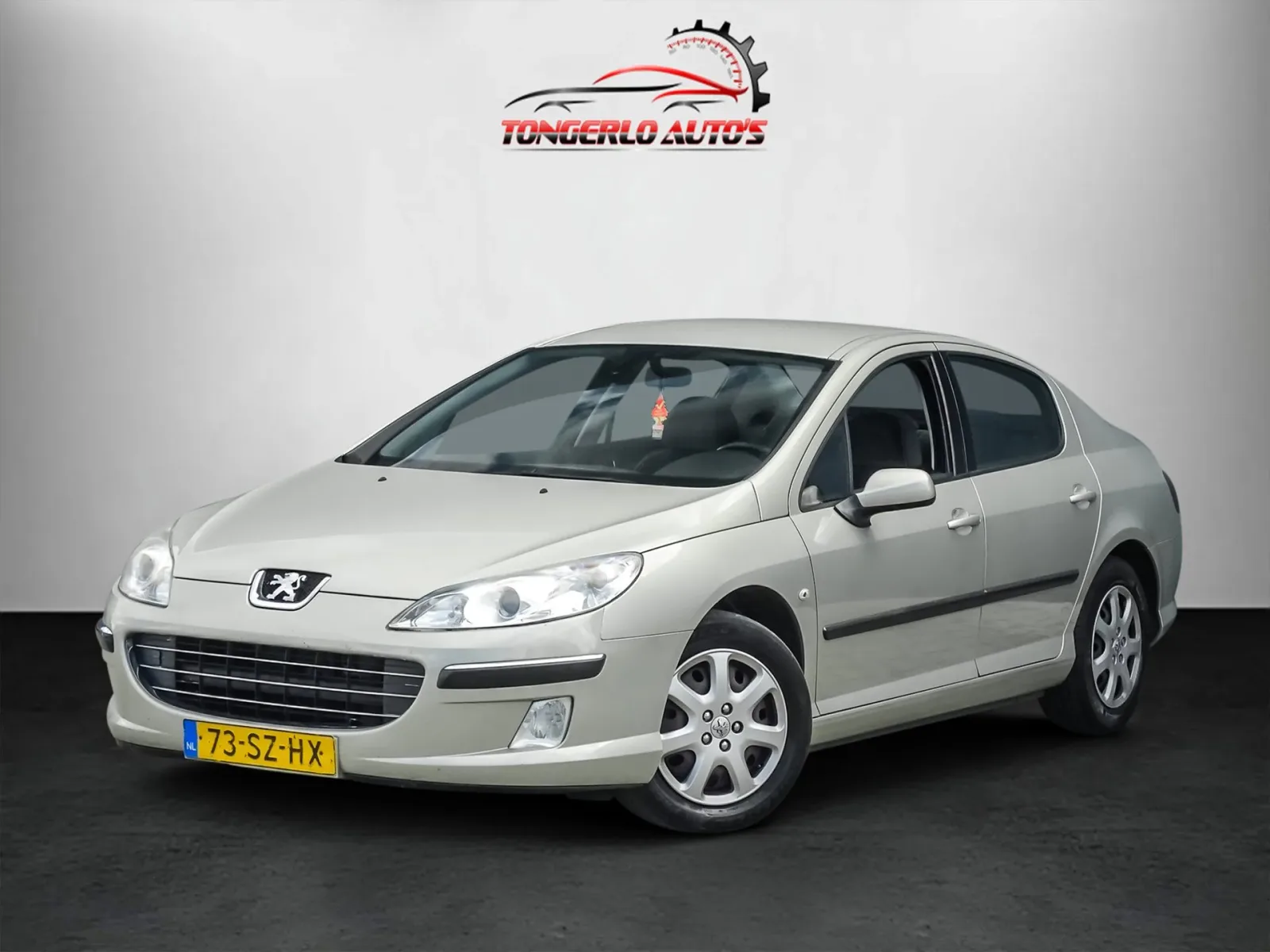 Peugeot 407 (2006) — foto 1